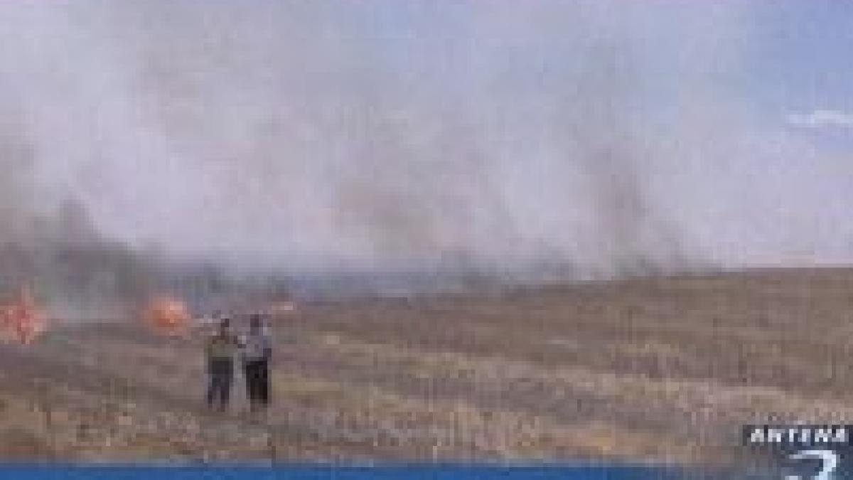 scandalul autostrada soarelui sefii politiei rutiere si politiei autostrazi demisi