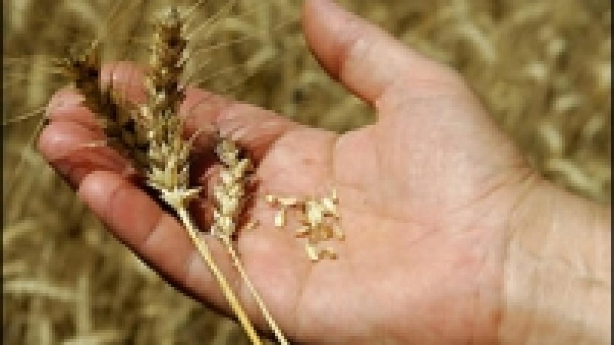 buzau taranii vand cerealele in euro