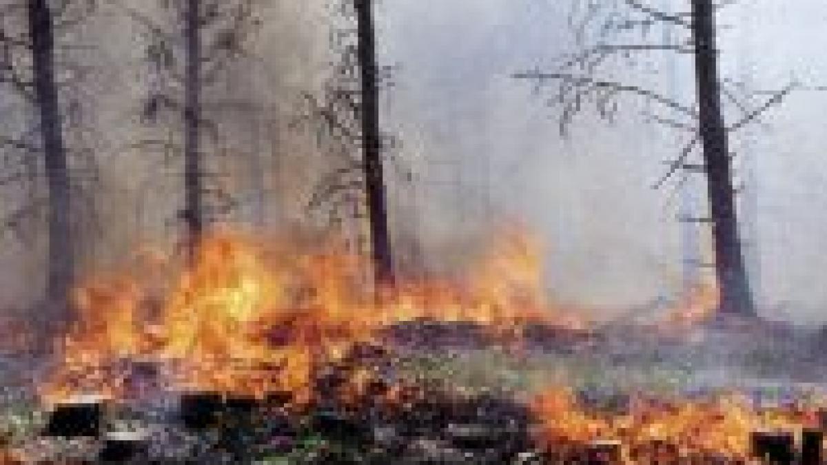 hoteluri evacuate in turcia din cauza incendiilor