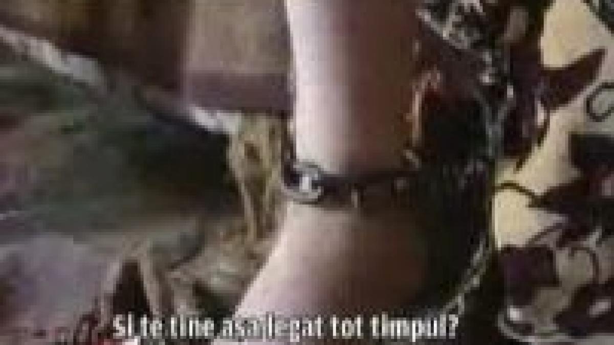 copii batuti si crescuti intr un cotet