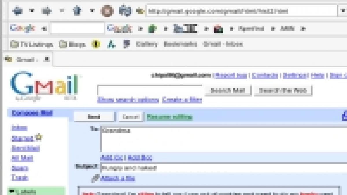 Google achiziţionează o companie de securitate pentru e-mail