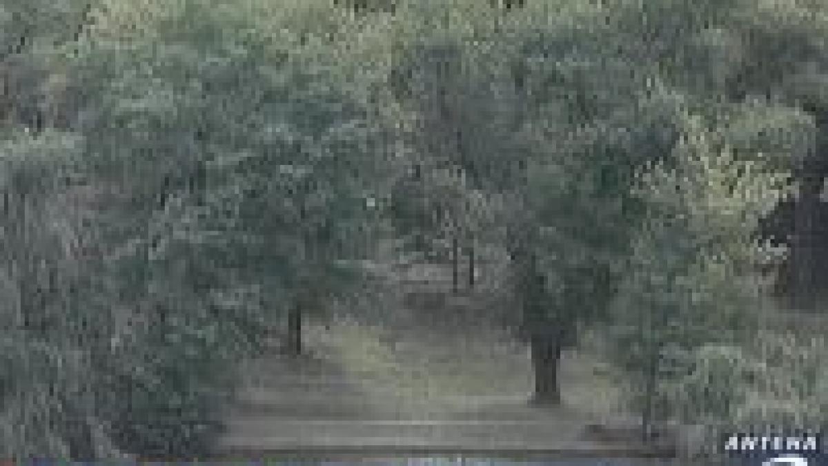 cazul parcului bordei la parlamentul european