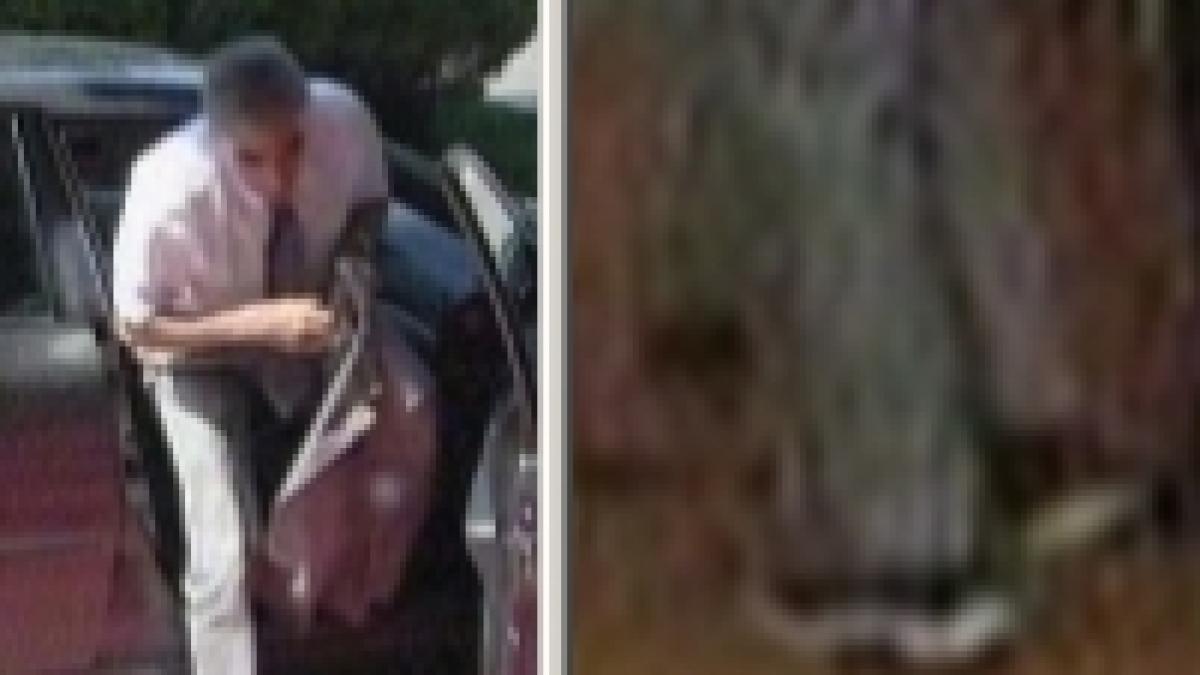 petre roman in tenisi la o intalnire oficiala video