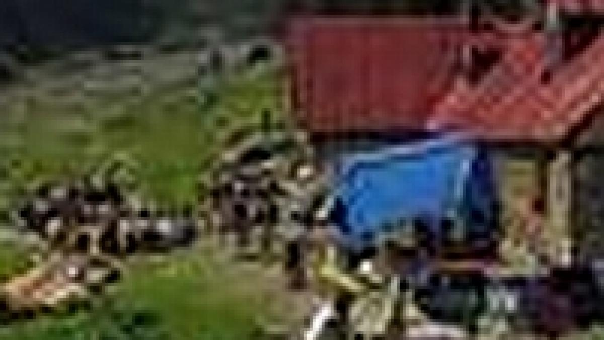 inca o tabara scolara inchisa cauza apa infestata