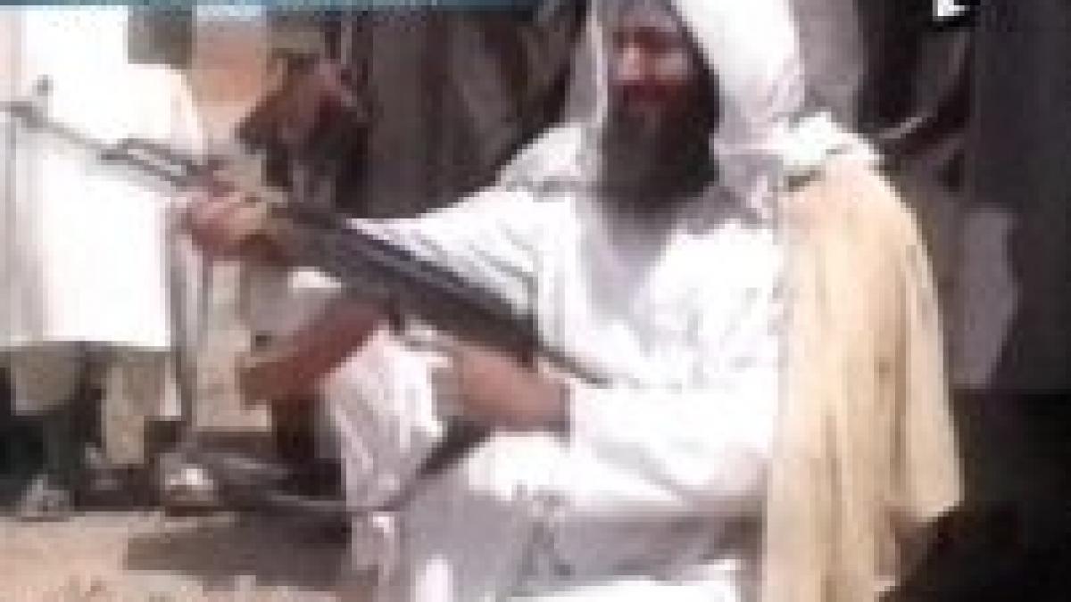 50 de milioane de dolari pe capul lui bin laden