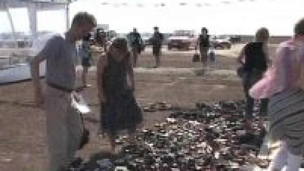 500 de yoghini se integreaza in absolut in cort la marea neagra video