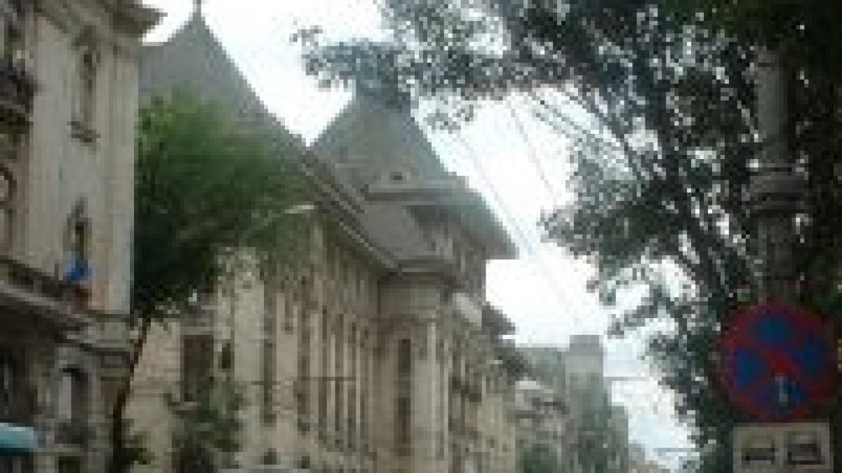 primaria capitalei asaltata de purici