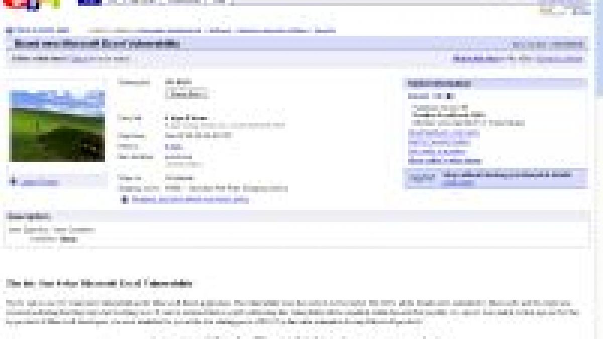 solutia razboiului din irak e de vanzare pe ebay