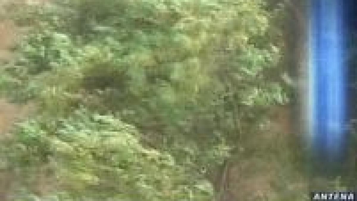 furtuni in vestul si centrul tarii video