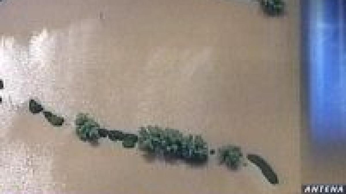 londra cele mai mari inundatii din ultimii 60 de ani video si galerie foto