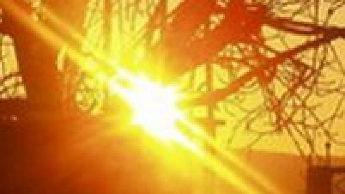 ungaria 500 de morti din cauza caniculei