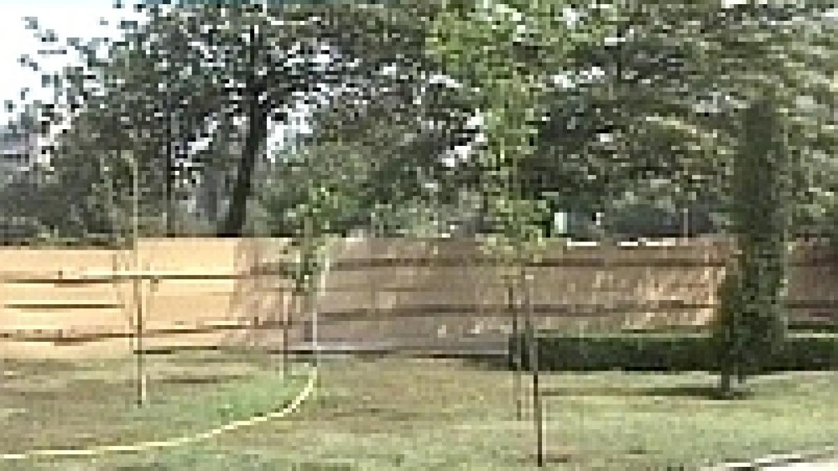 constanta un parc defrisat pentru constructia unei catedrale