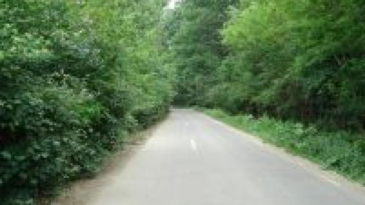 moarte misterioasa un barbat gasit spanzurat in padurea baneasa