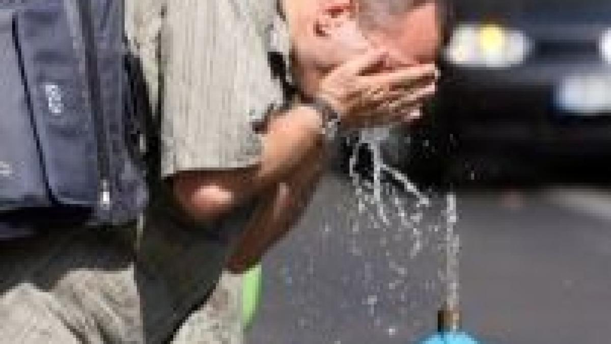 aflati care sunt afectiunile favorizate de caldura