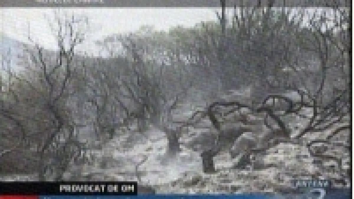 incendiul din canare a fost provocat intentionat