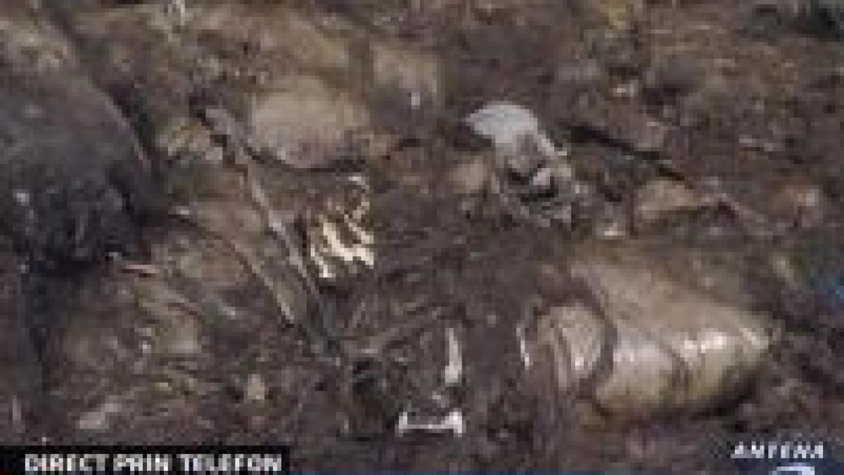 pericol de epidemie 47 de tone de deseuri animaliere pe malul argesului video