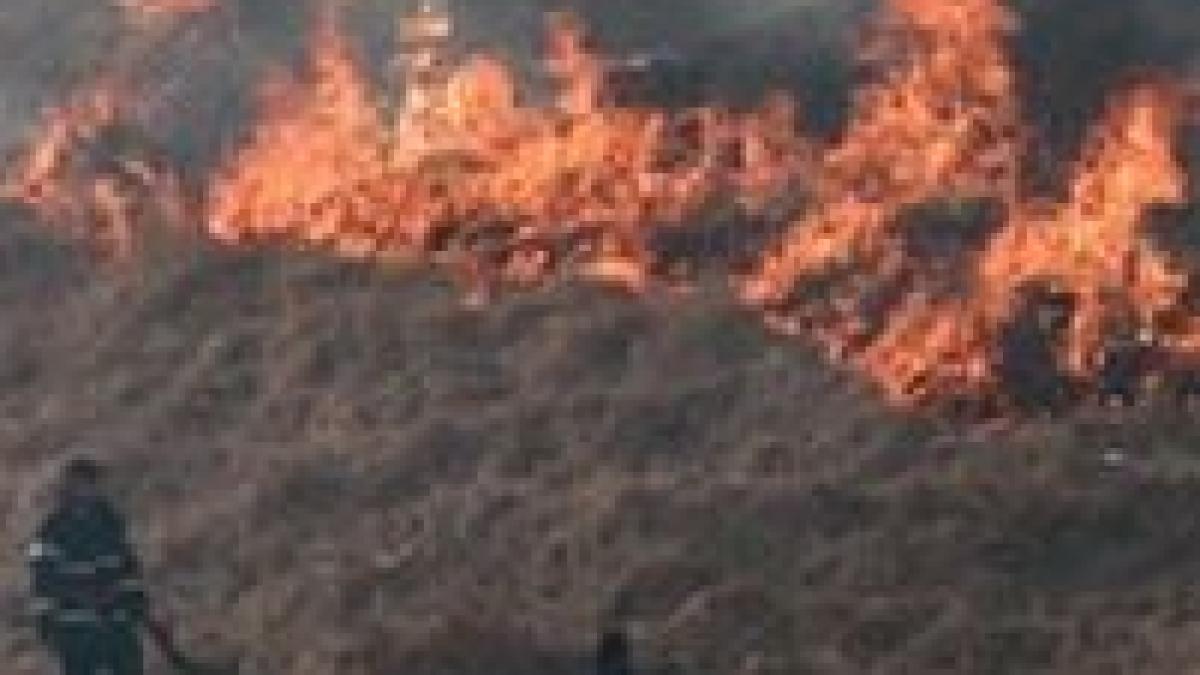 paradisul din insulele canare distrus de foc