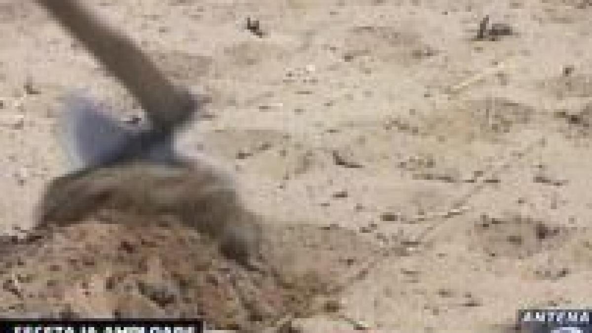 seceta se va agrava in luna august