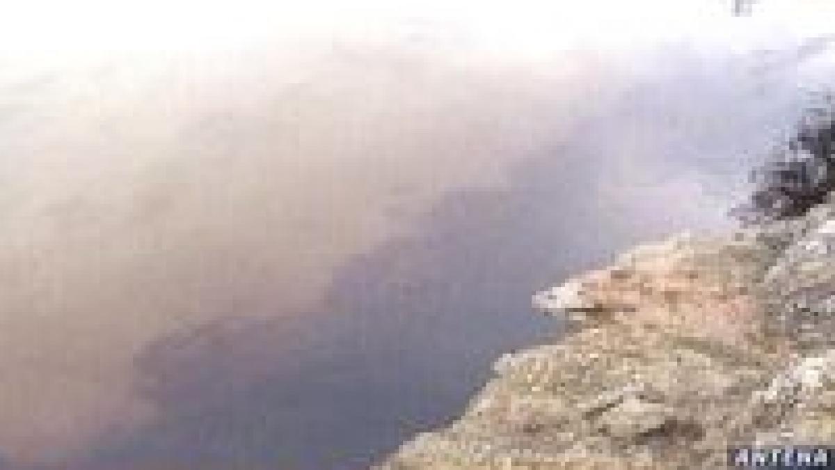 apele jiului au fost poluate cu pacura