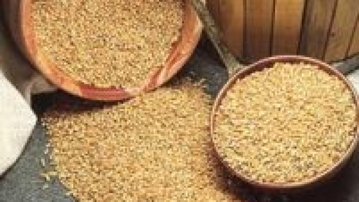 importurile de grau vor incepe din august