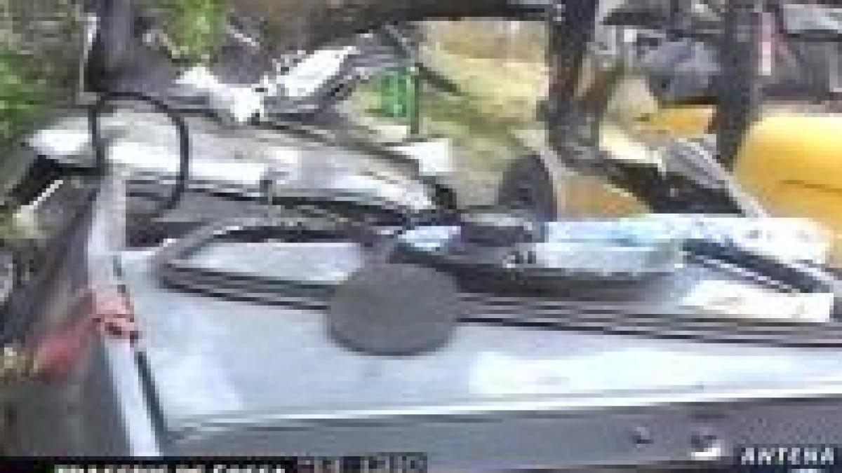 3 oameni au fost ucisi de un copac prabusit in constanta video