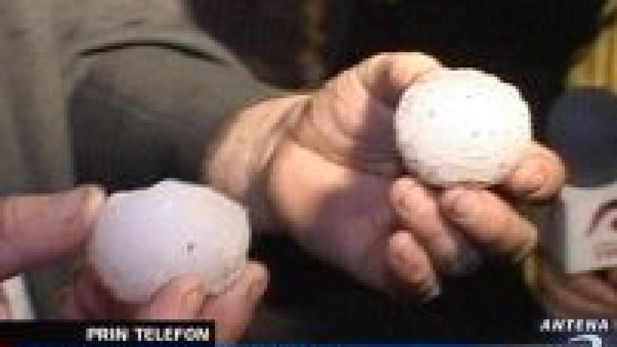 ploile torentiale au facut 3 victime