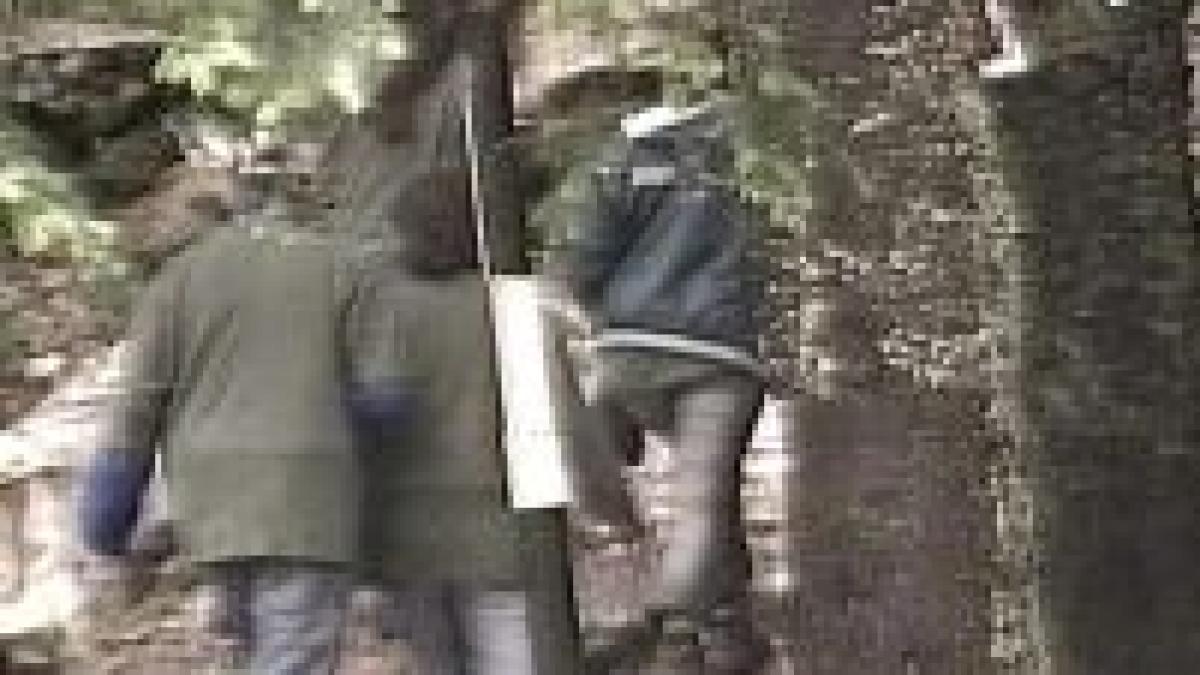 tanar disparut in muntii retezat