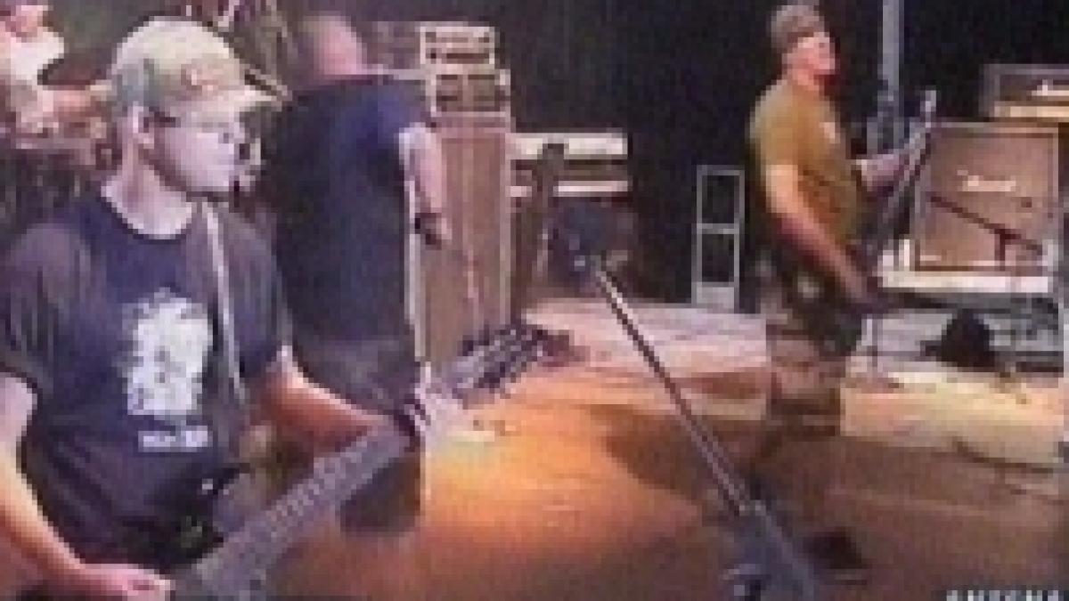 in vama veche s a dat startul la stufstock video