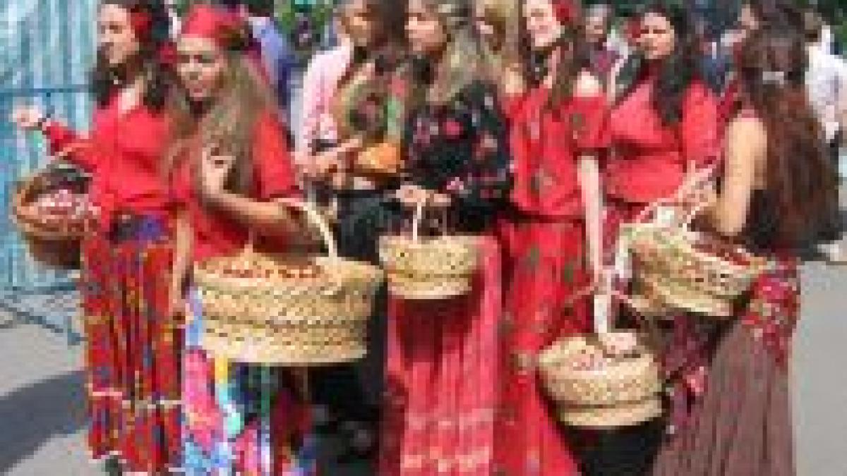 protest al florareselor impotriva lui negoita