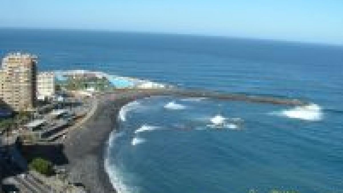 un tanar s a inecat in constanta