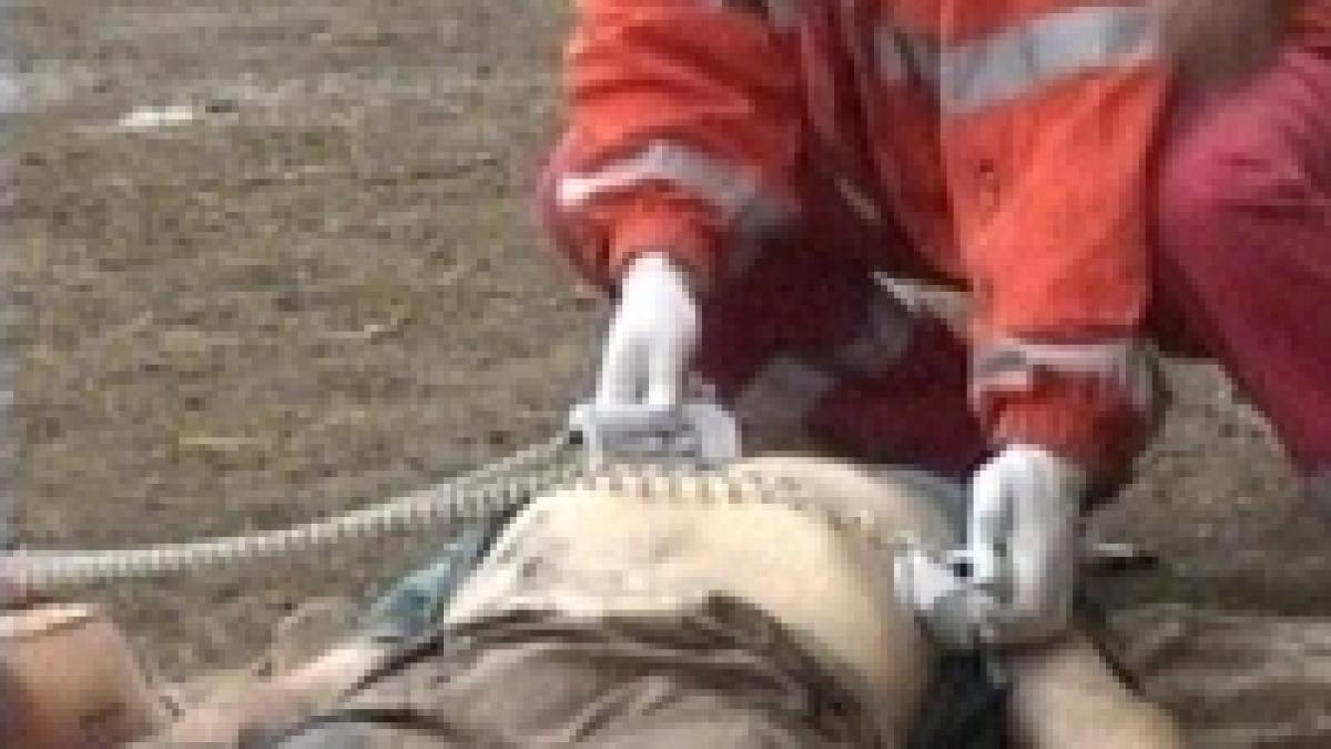 trei muncitori au murit asfixiati la o ferma din oradea