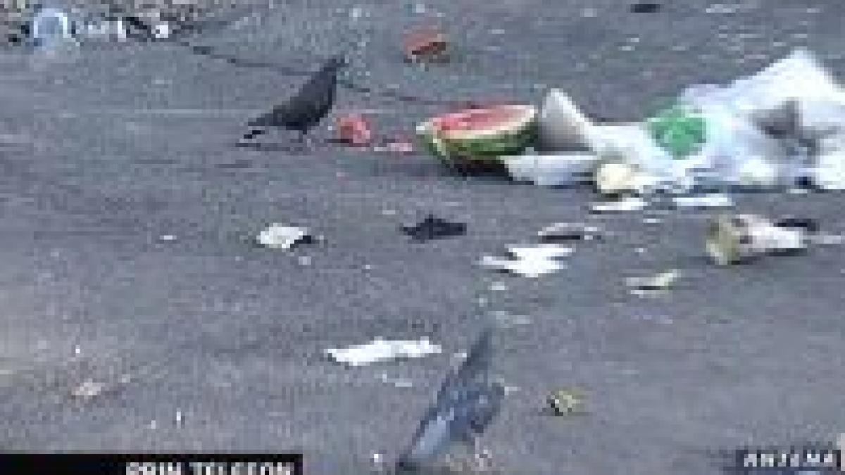 chiliman rebu o menajera puturoasa platita regeste video