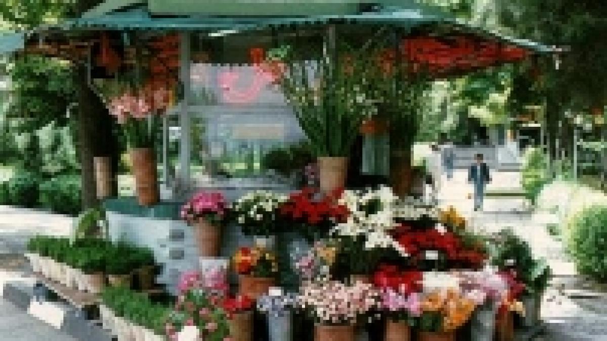 floraresele ies in strada la miting