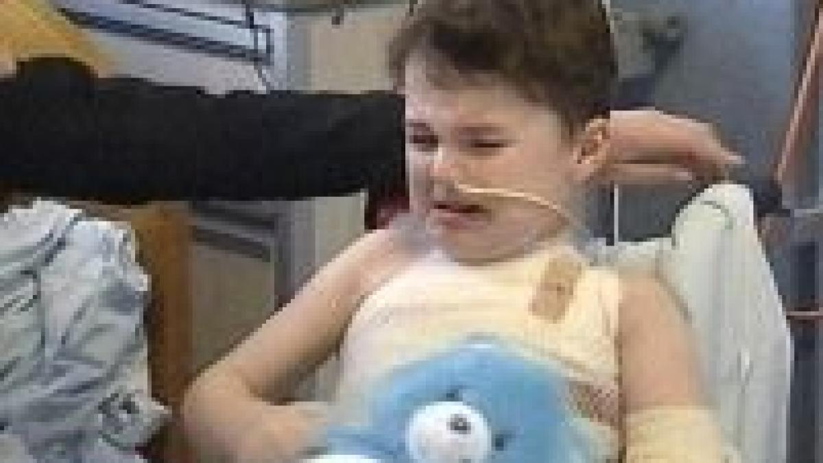 hainutele produse in china ii pot arde de vii pe cei mici video