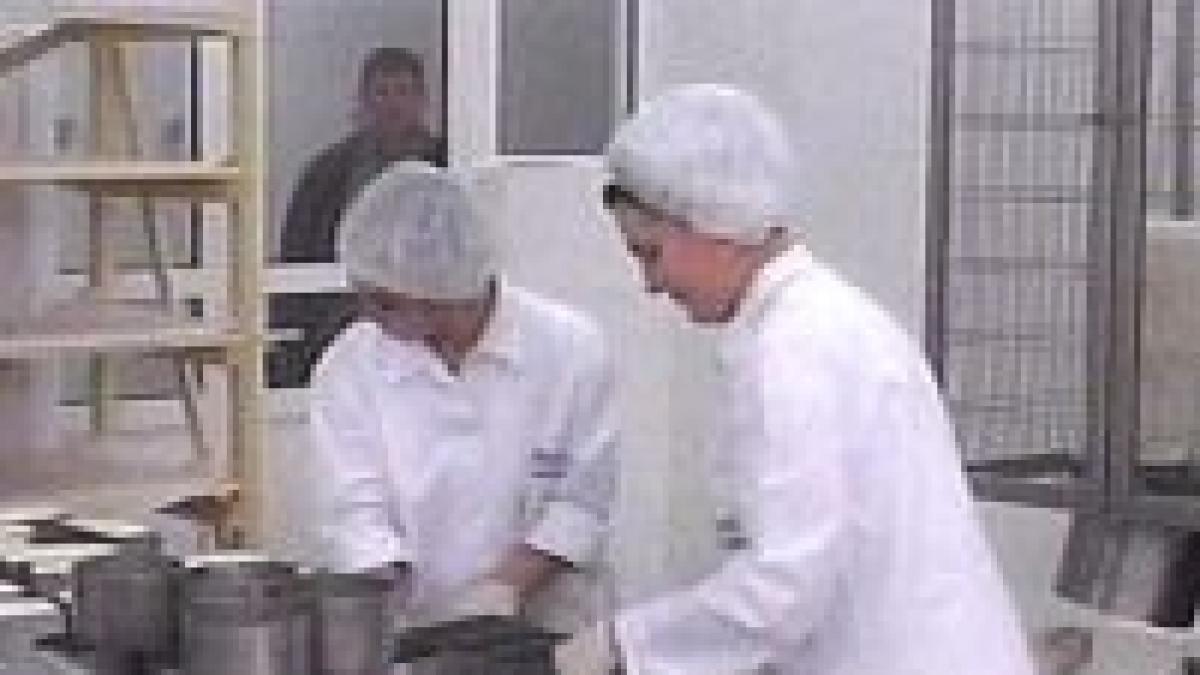 europa in stare de alerta din cauza dioxinei