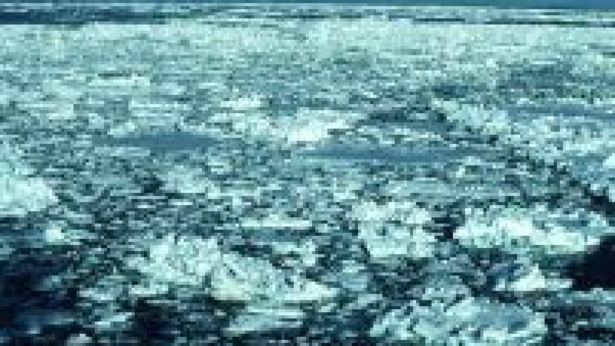 oceanele pacific si atlantic legate de un pasaj arctic