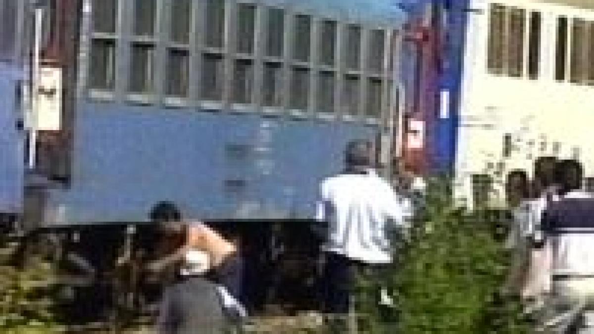 un tren a deraiat la sibiu dupa ce a lovit un cal