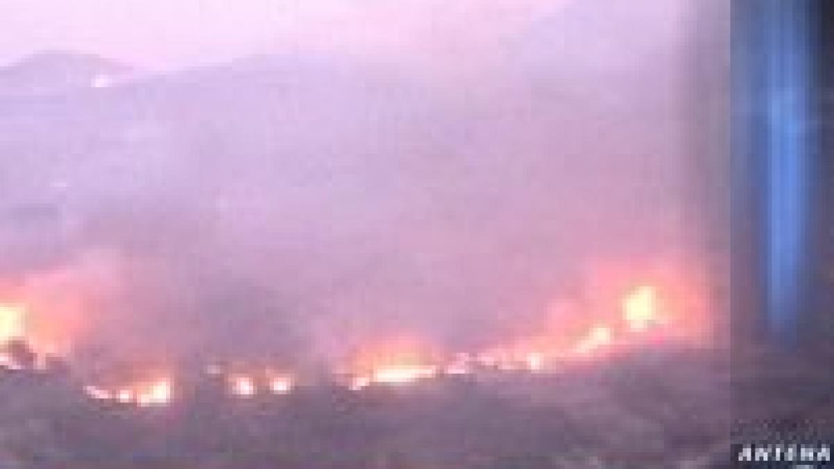 incendiile din grecia au facut 63 de victime