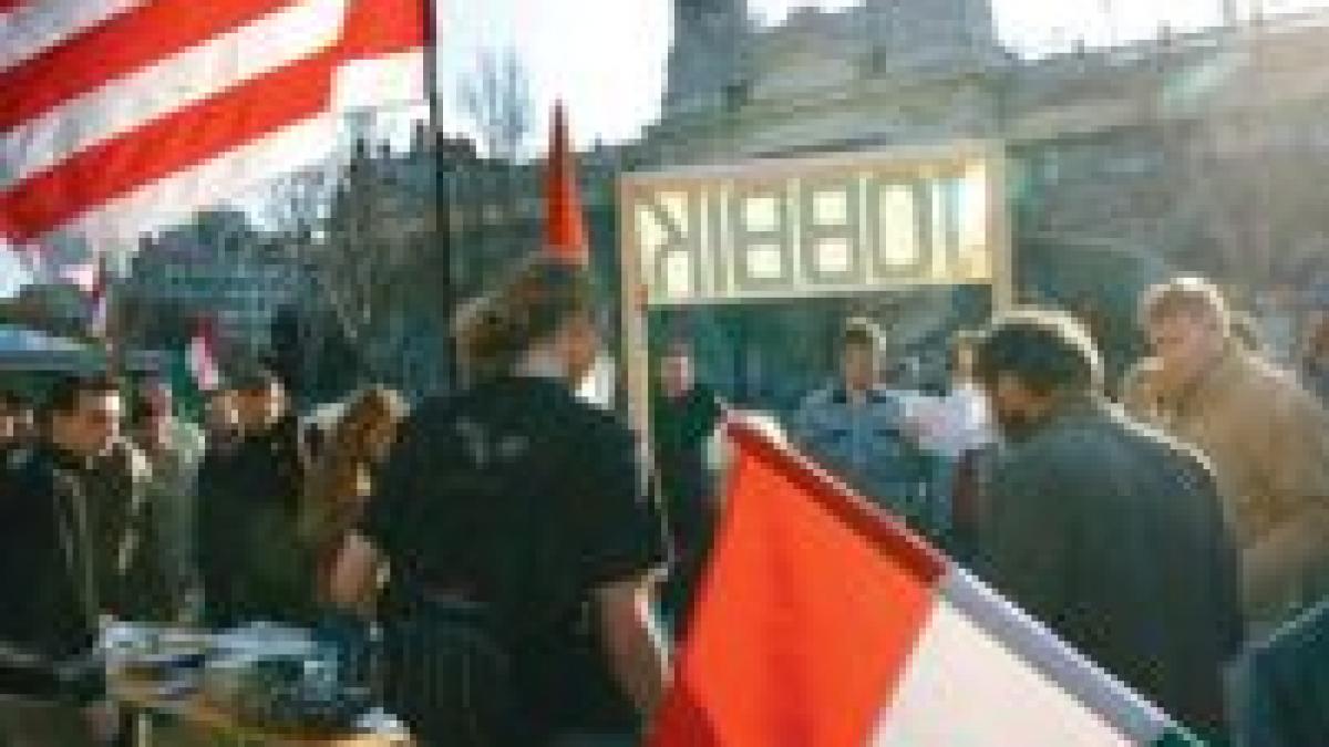 ungaria o organizatie neonazista se lanseaza oficial