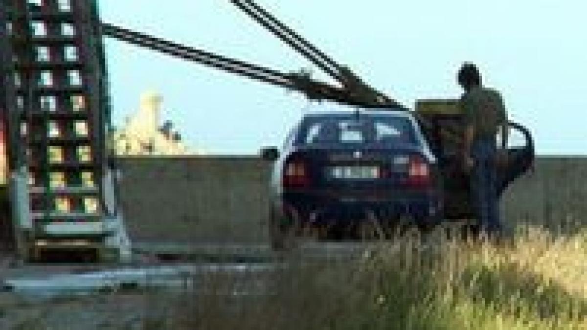 grefiera de la tribunalul dolj acuzata de prostitutie