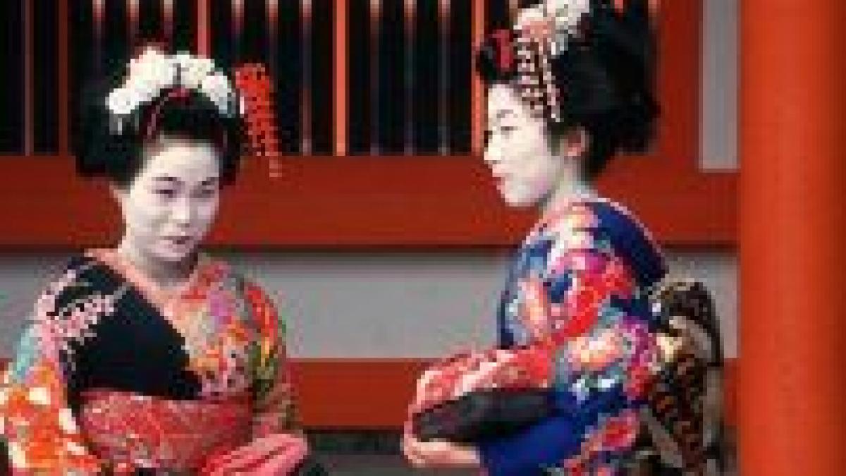 japonezii renunta la copii pentru catei