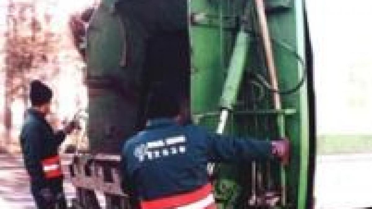 romprest iese la cumparaturi