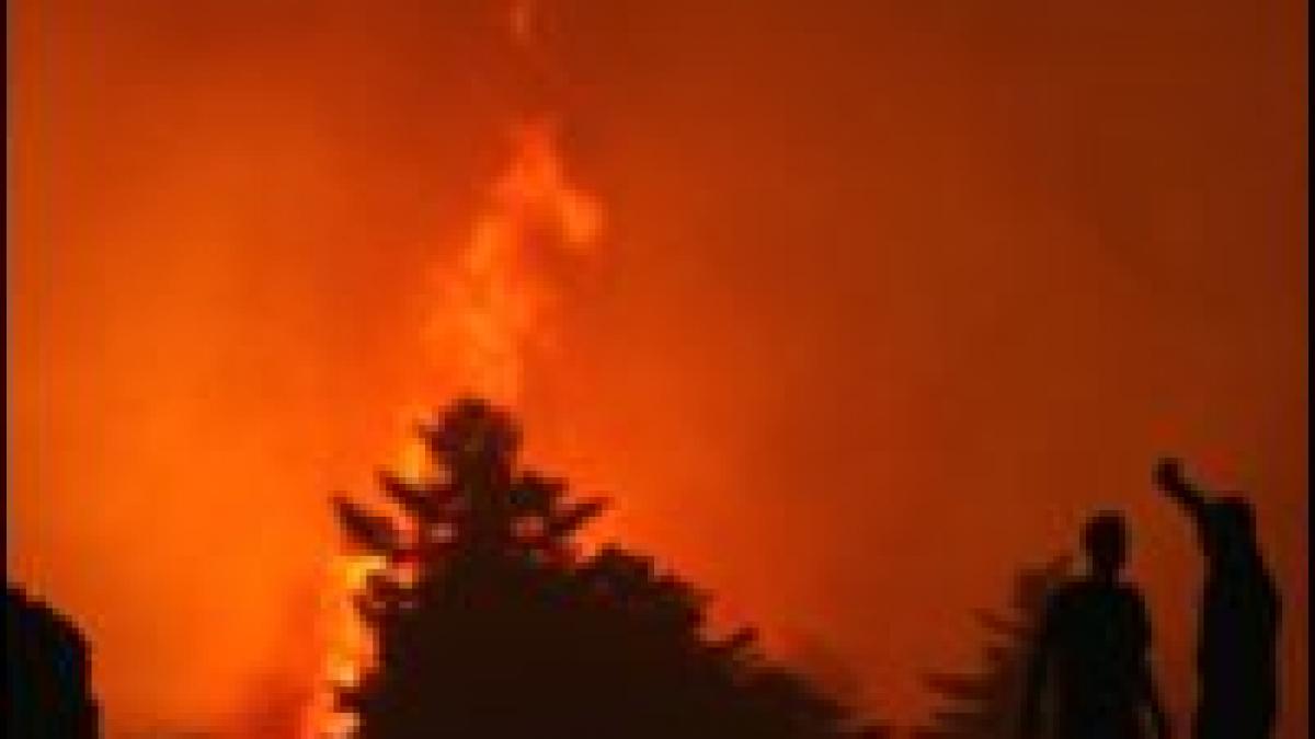 incendiile din grecia vor fi sub control in maxim 4 zile