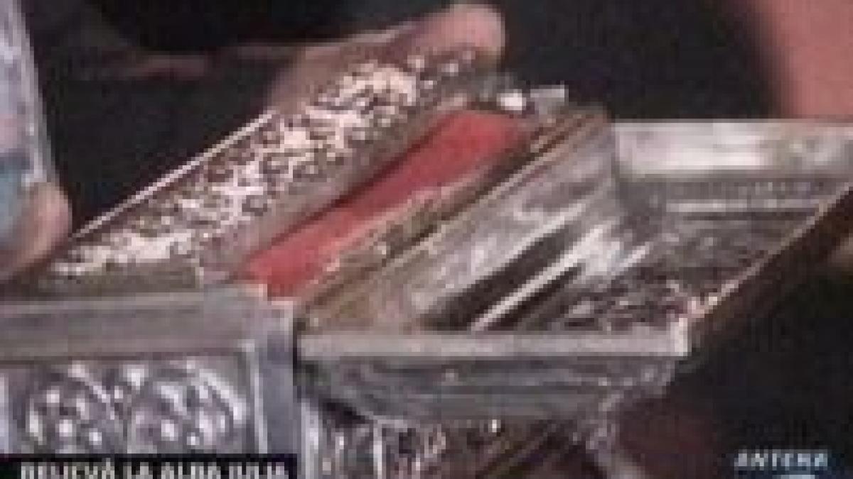 o parte a braului maicii domnului a fost adusa la alba iulia