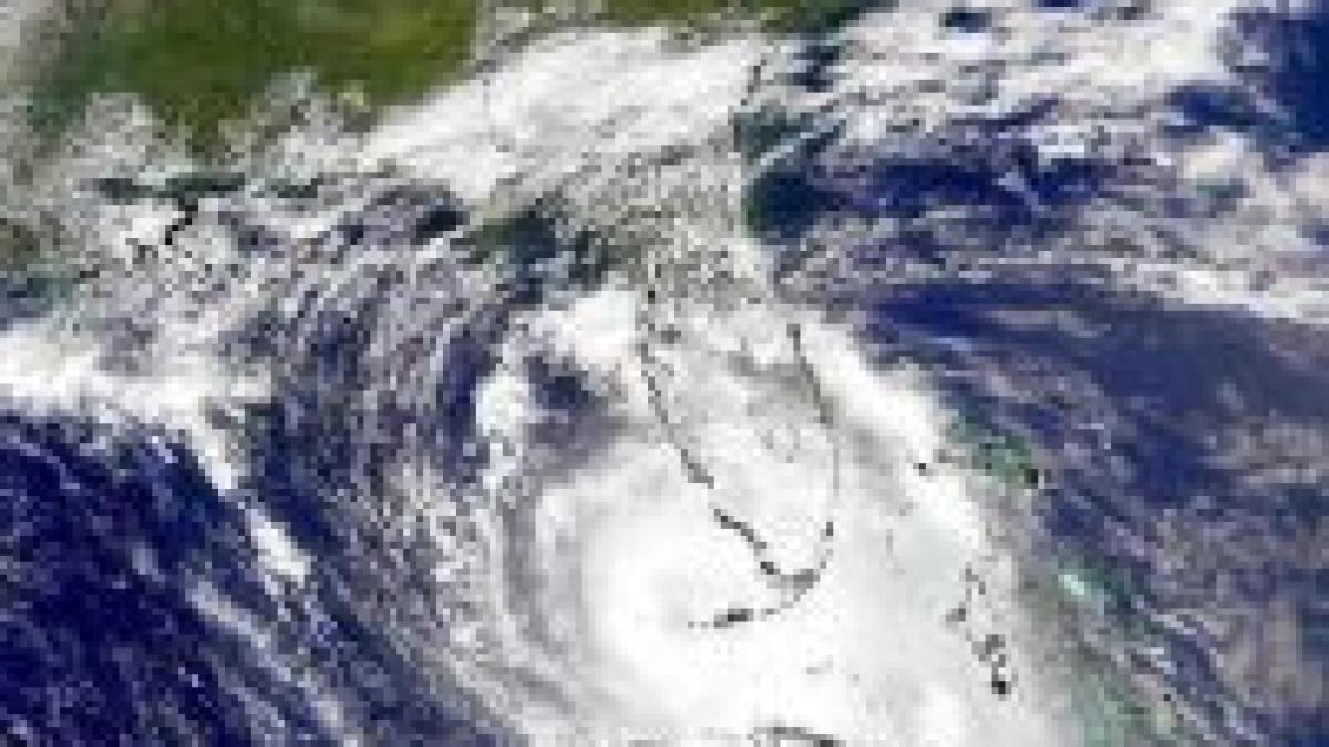 uraganul felix provoaca furtuna pe bloguri