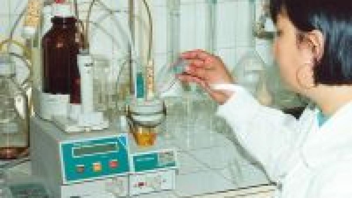 hibridul om animal devine legal in marea britanie