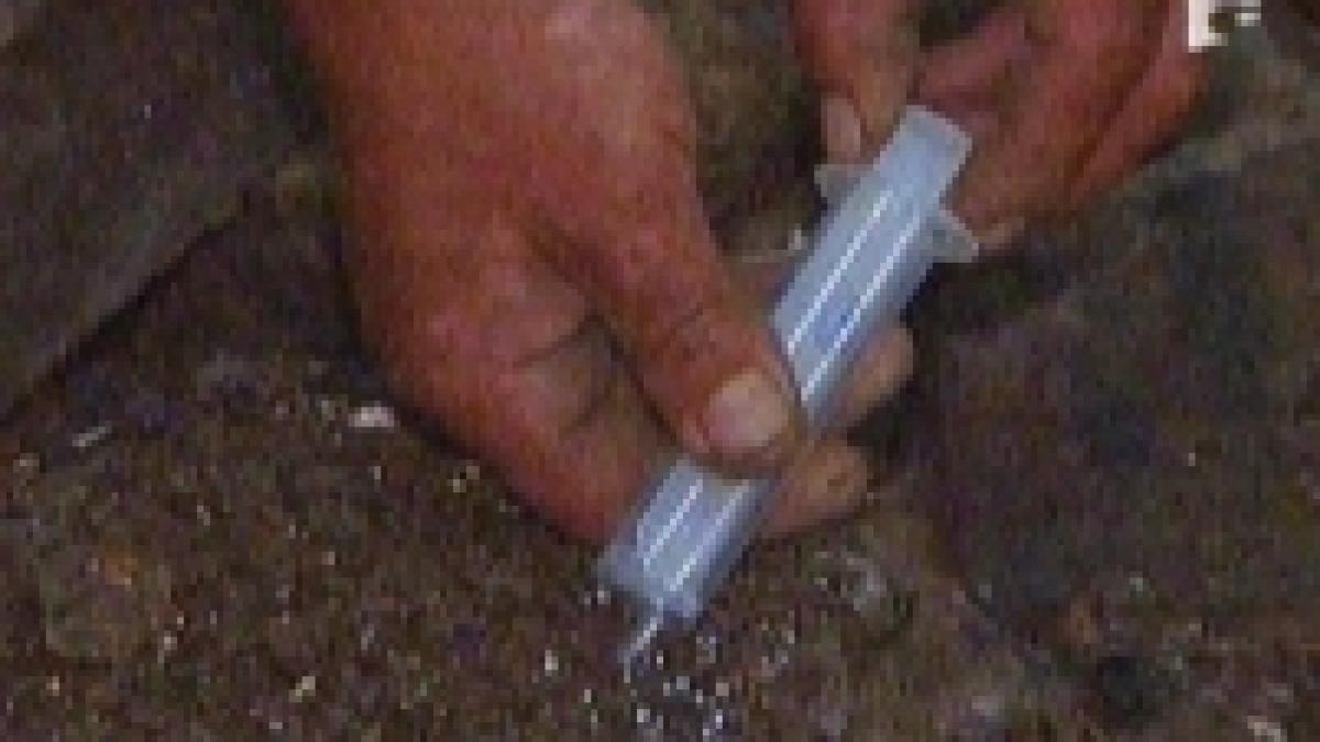 terenul fostului combinat chimic din turda musteste de mercur