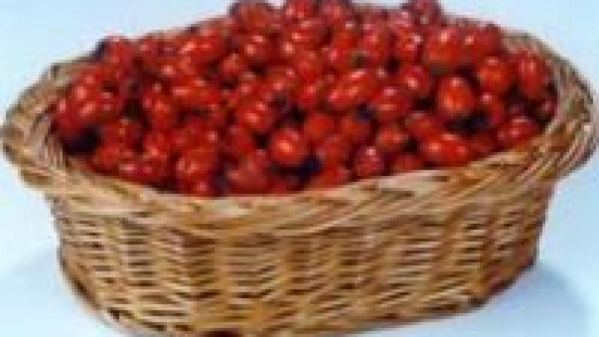 romania se afla intre primii 20 de exportatori de produse ecologice