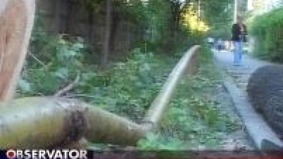 cum sa lasi fara gaze curent si geamuri un cartier intreg video