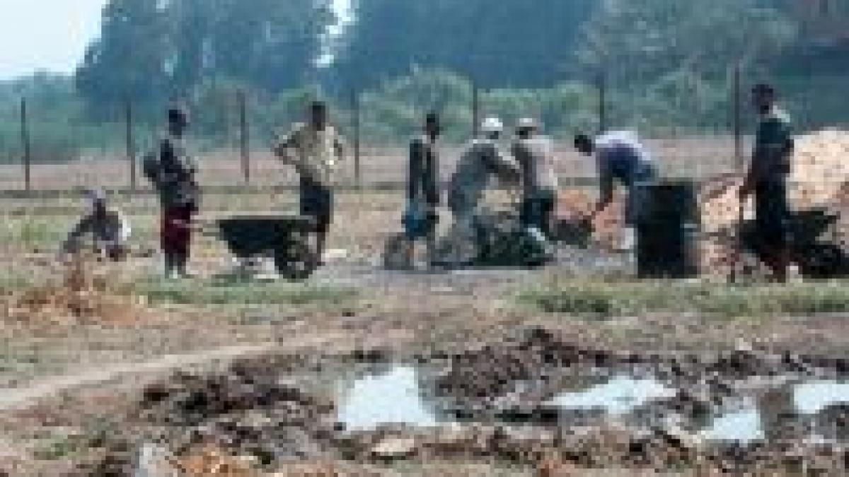 bruxelles muncitorii romani sunt mai slab pregatiti decat cei din alte state ue